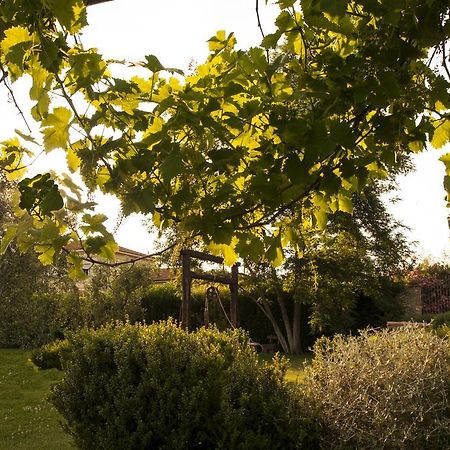 Podere Turicchio Orbetello Kültér fotó