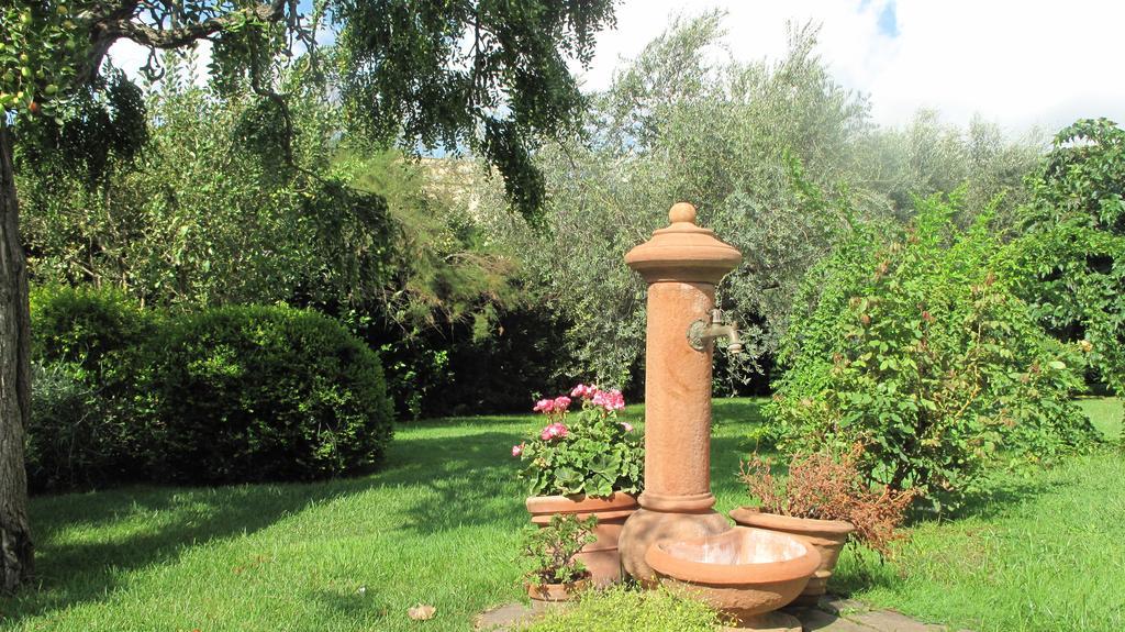 Podere Turicchio Orbetello Kültér fotó