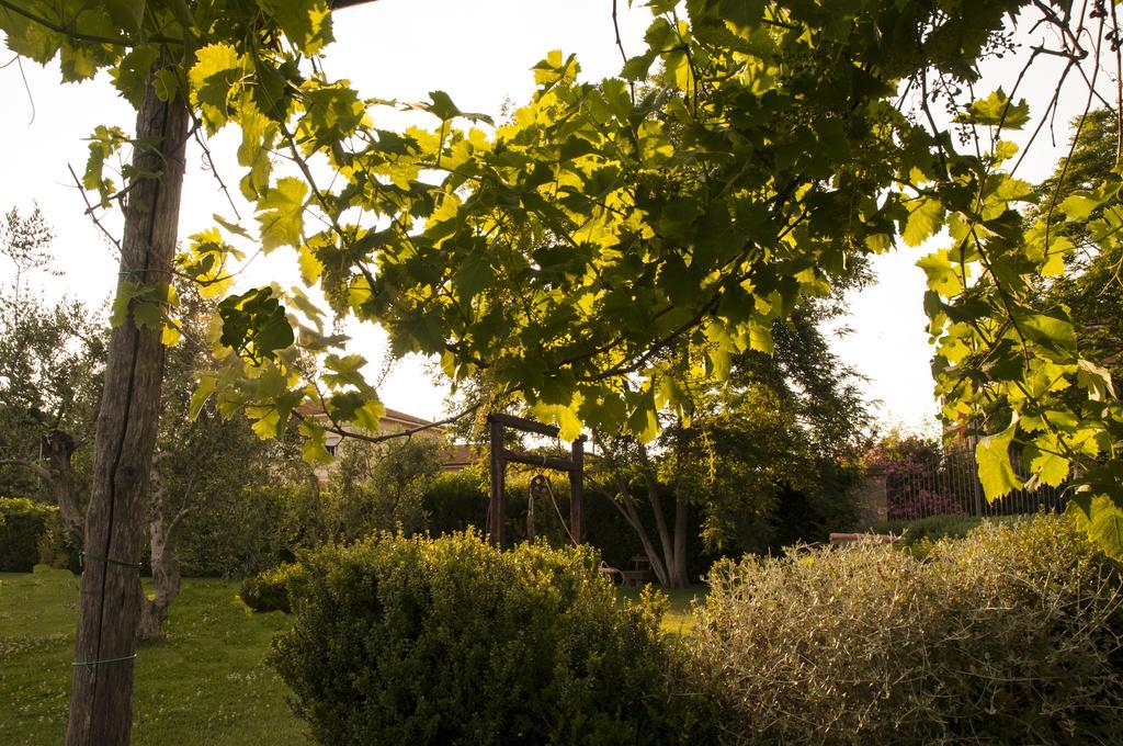 Podere Turicchio Orbetello Kültér fotó